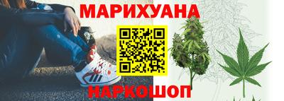 гидра Беслан