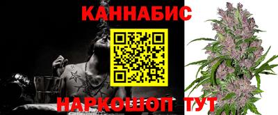 гидра Беслан
