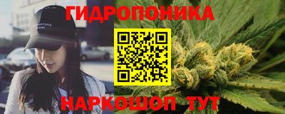 шишки Берёзовский