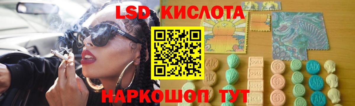 Псилоцибиновые грибы Зерноград