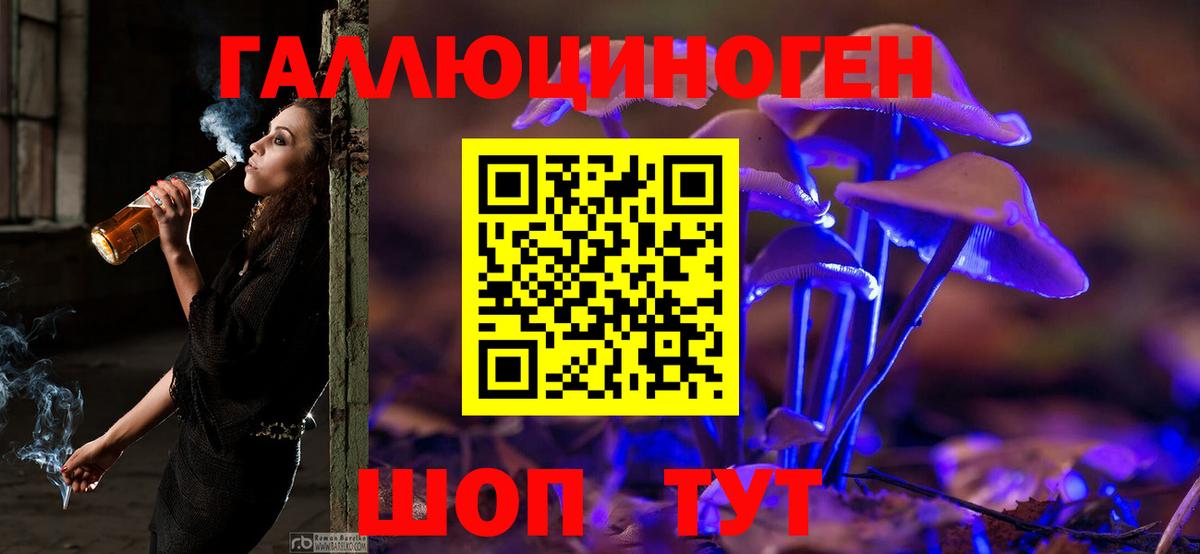 Псилоцибиновые грибы Psilocybe Зерноград