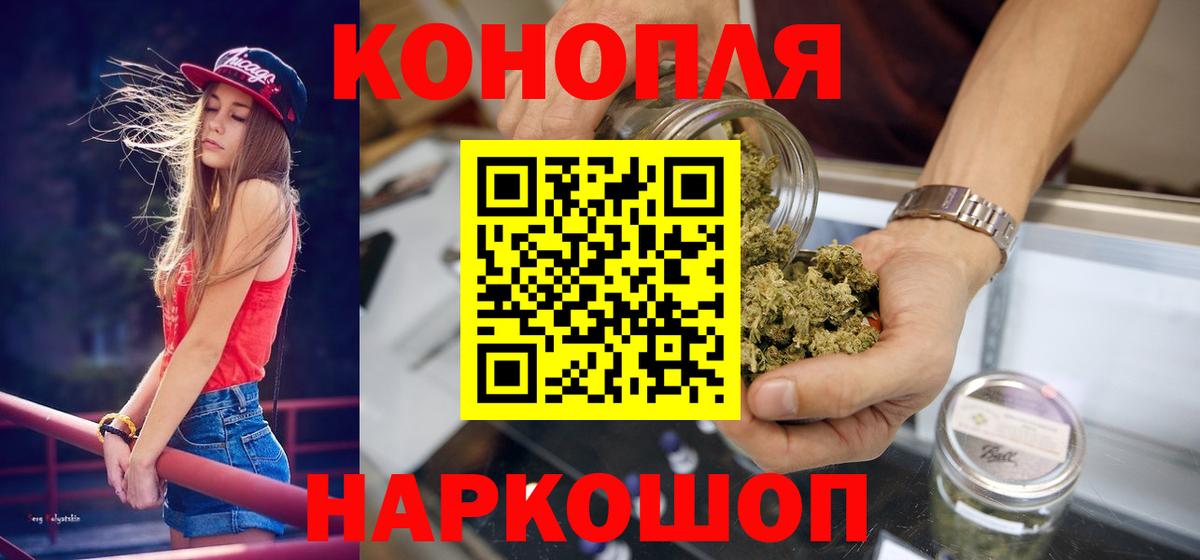 Канабис сатива Зерноград
